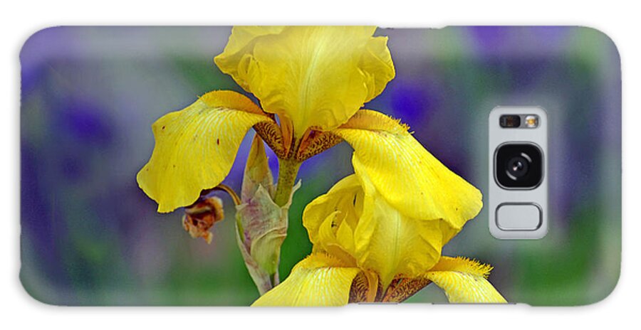 Iris Galaxy S8 Case featuring the photograph Yellow Iris by Rodney Campbell