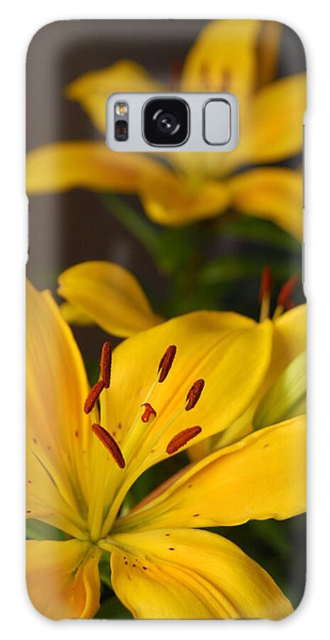 Flower Galaxy Case featuring the photograph Yellow Lily Mirror by Amy Fose