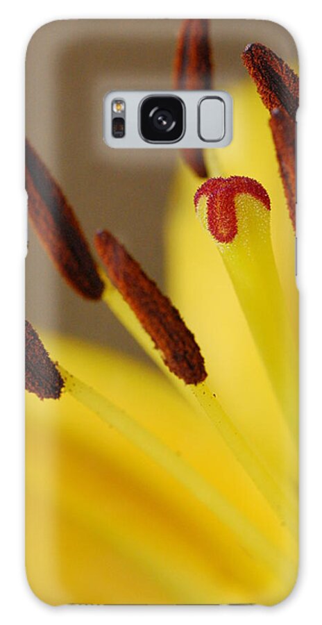 Flower Galaxy Case featuring the photograph Yellow Lily Reach 2 by Amy Fose