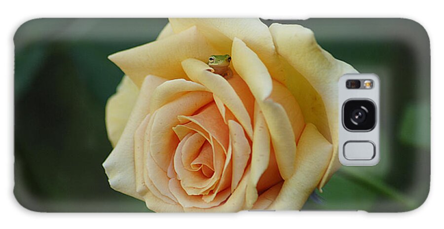 Rose Galaxy Case featuring the photograph Yellow Rose and Frog by Keith Lovejoy
