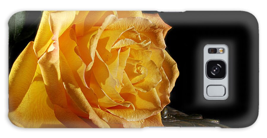 Yellow Galaxy Case featuring the photograph Yellow Rose by Robert Och