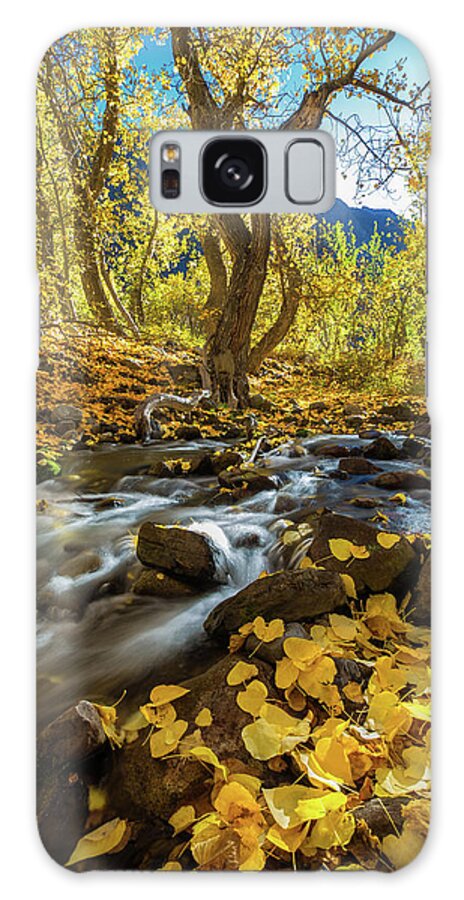 Fall Galaxy S8 Case featuring the photograph Yellow by Tassanee Angiolillo
