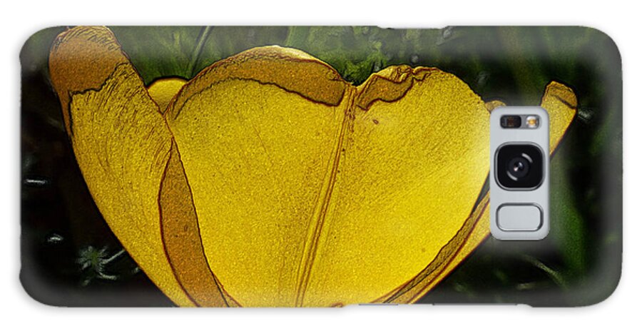 Beautiful Galaxy S8 Case featuring the photograph Yellow Tulip 2 by Jean Bernard Roussilhe