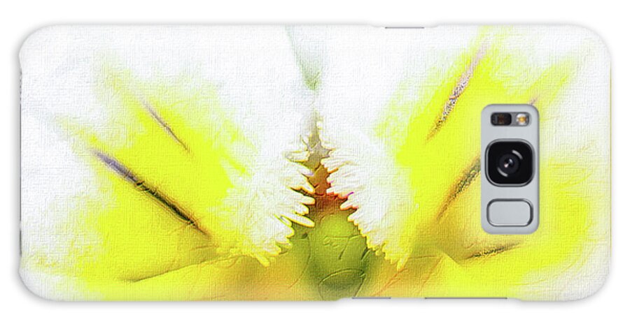Mona Stut Galaxy Case featuring the photograph Viola Cornuta Horned Pansy Yellow Macro by Mona Stut