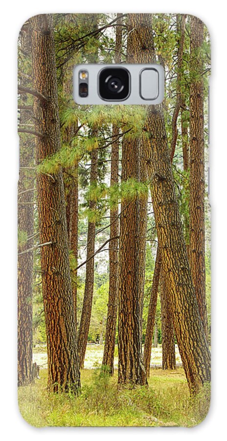 Yosemite Galaxy S8 Case featuring the photograph Yosemite by Jim Mathis