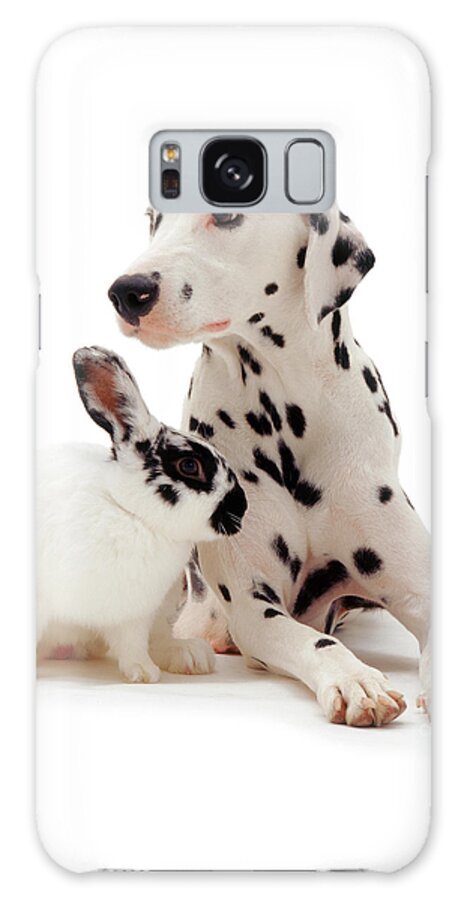 Dalmatian Galaxy Case featuring the photograph You Knocked my Spots Off by Warren Photographic
