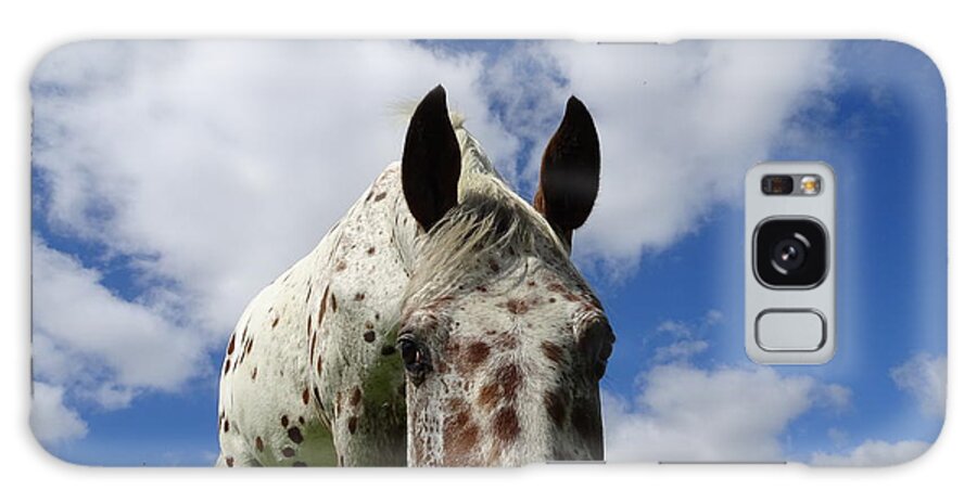 Appaloosa Galaxy Case featuring the photograph You've been spotted by Susan Baker