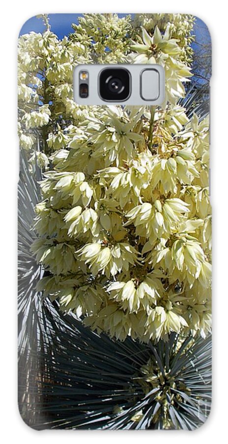 Arizona Wildflowers. Desert Wildflowers Galaxy Case featuring the photograph Yucca Glory by Jerry Bokowski