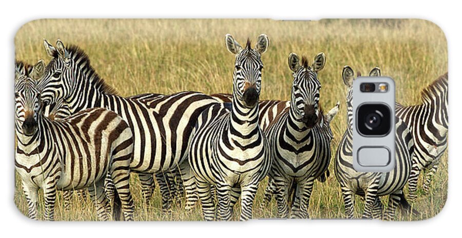 Zebras Galaxy Case featuring the photograph Zebras on Alert by Steven Upton
