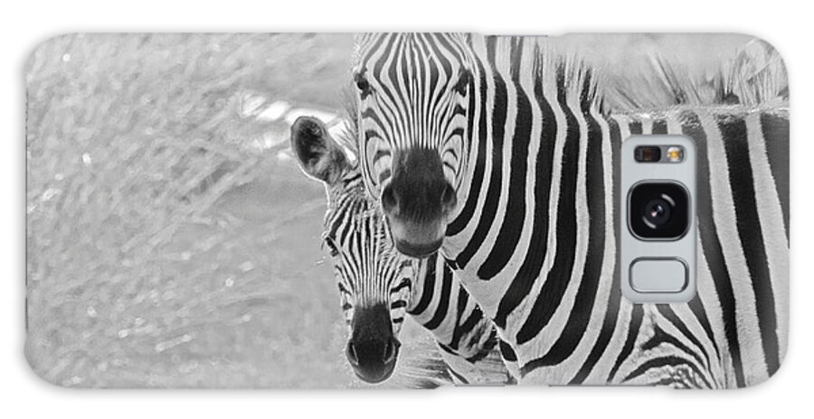Nature Galaxy Case featuring the photograph Zebras #1 by Patrick Kain