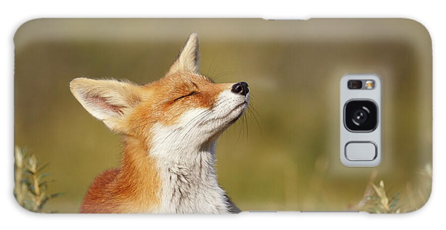 Red Fox Galaxy Case featuring the photograph Zen Fox Series - Summer Fox by Roeselien Raimond