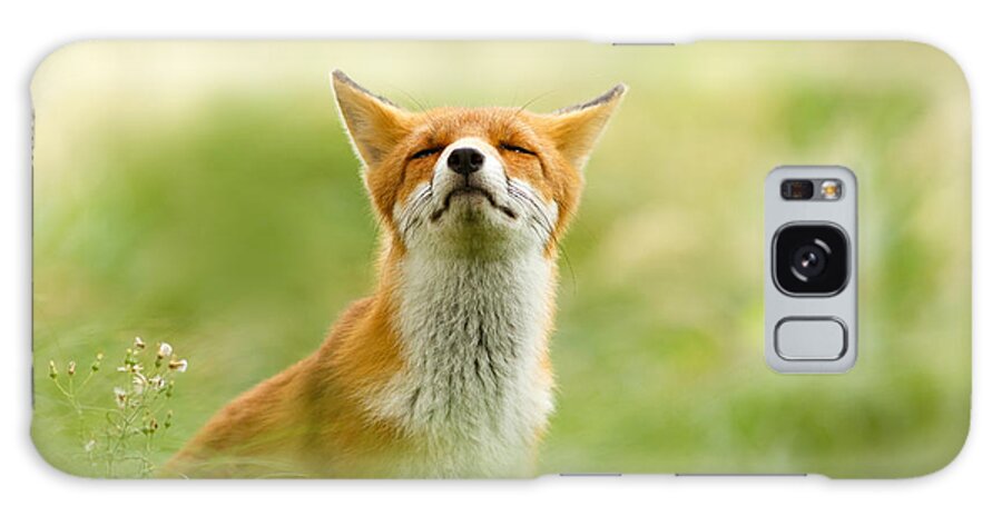 Red Fox Galaxy Case featuring the photograph Zen Fox Series - Zen Fox Does it Agian by Roeselien Raimond