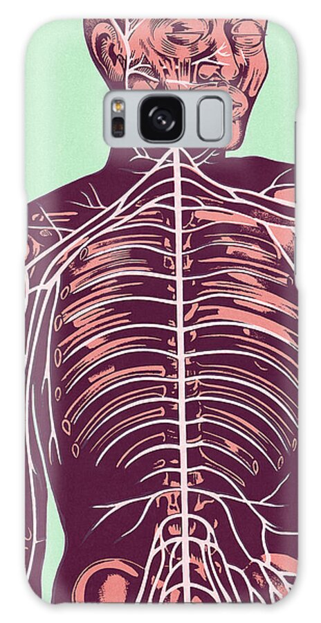 Body Galaxy Case featuring the drawing Anatomy of Nerves of Body and Head #1 by CSA Images
