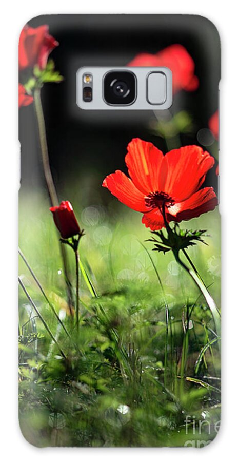 Anemones Galaxy Case featuring the photograph Anemones by Benny Woodoo