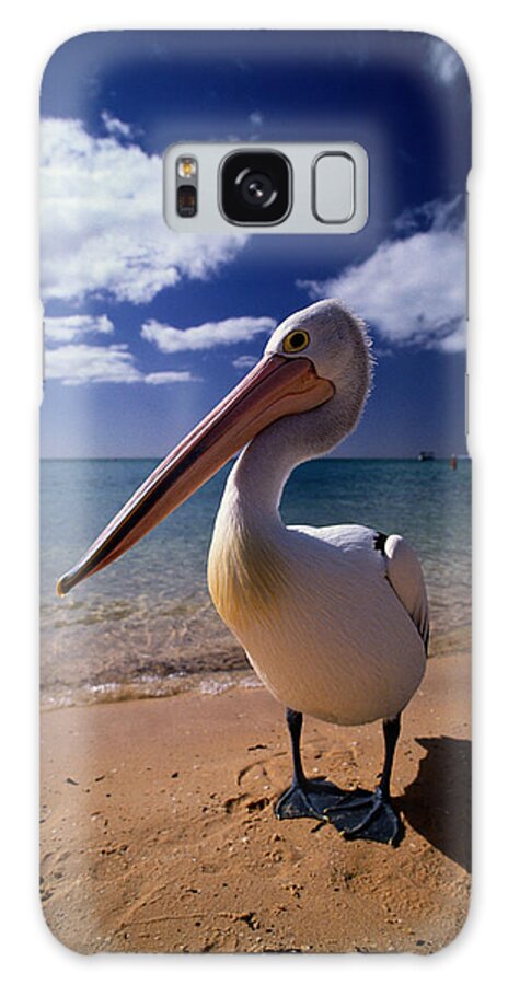 Water's Edge Galaxy Case featuring the photograph Australian Pelican Pelecanus #1 by Art Wolfe
