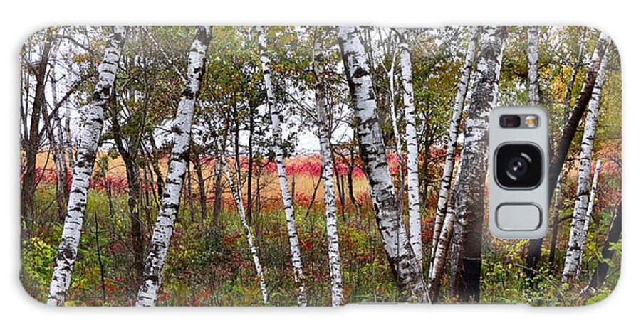 Autumn Galaxy Case featuring the photograph Autumn Birch Grove #1 by Sarah Lilja