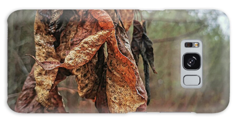Dead Leaves Galaxy Case featuring the photograph Autumn Leaves #2 by Daniel Martin