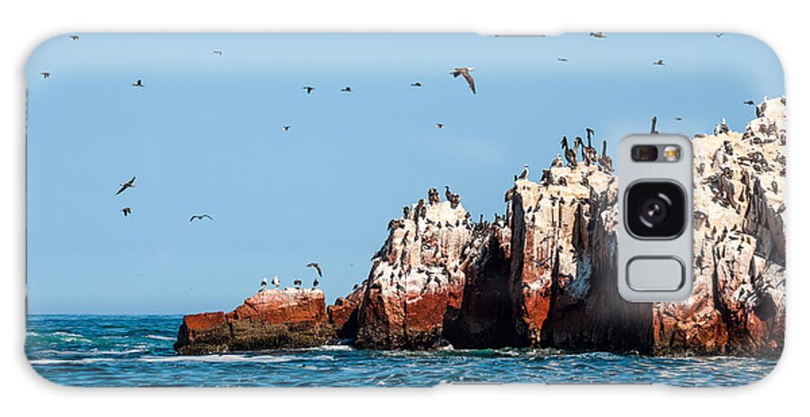 Paracas Galaxy Case featuring the photograph Ballestas Islands Paracas National by Ksenia Ragozina