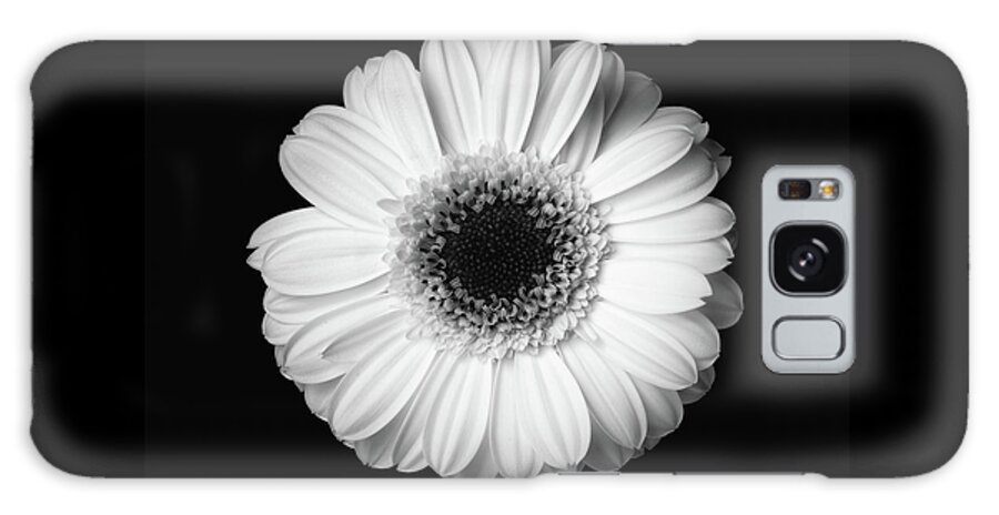 Flower Galaxy Case featuring the photograph Black and white flower #1 by Mirko Chessari