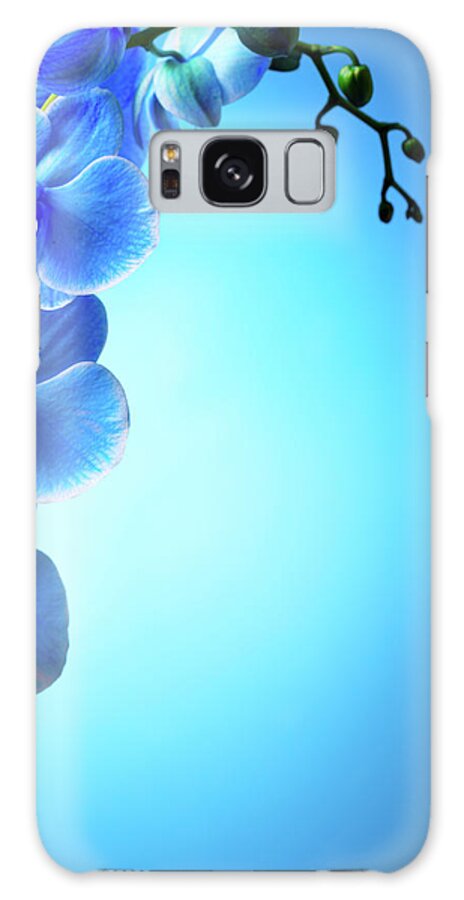 Caucasian Ethnicity Galaxy Case featuring the photograph Blue Orchids #1 by Neoblues