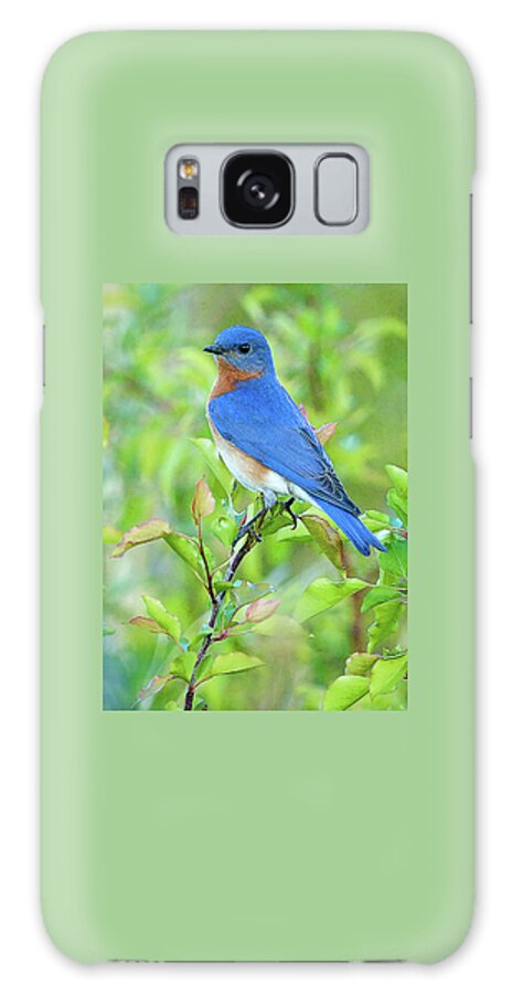 Bluebird Galaxy Case featuring the photograph Bluebird Joy #2 by William Jobes
