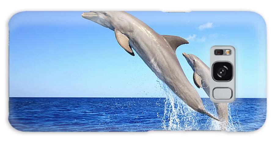 Bay Islands Galaxy Case featuring the photograph Bottlenose Dolphins #1 by Stuart Westmorland