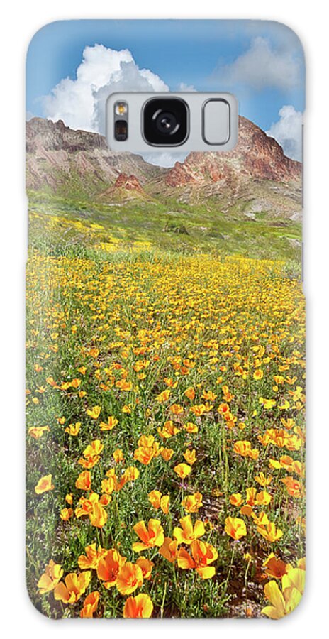 Arid Climate Galaxy Case featuring the photograph Boundary Cone Butte #1 by Jeff Goulden