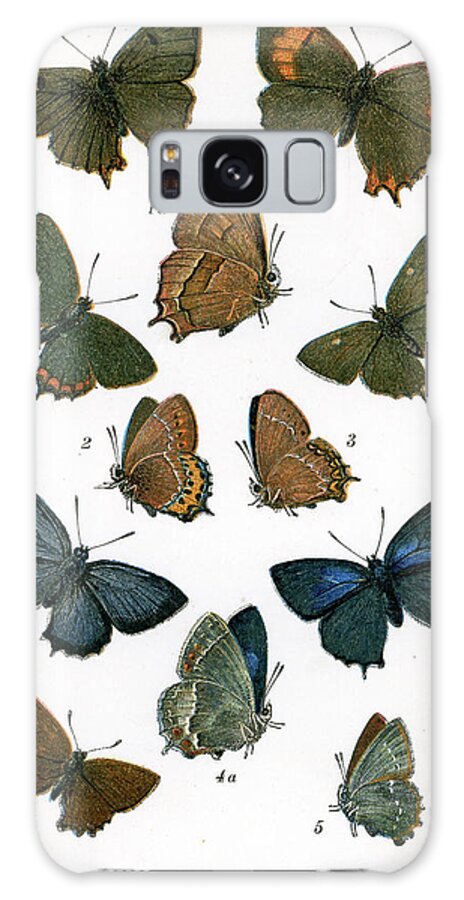 Hairstreak Butterfly Galaxy Case featuring the digital art Butterflies #1 by Duncan1890