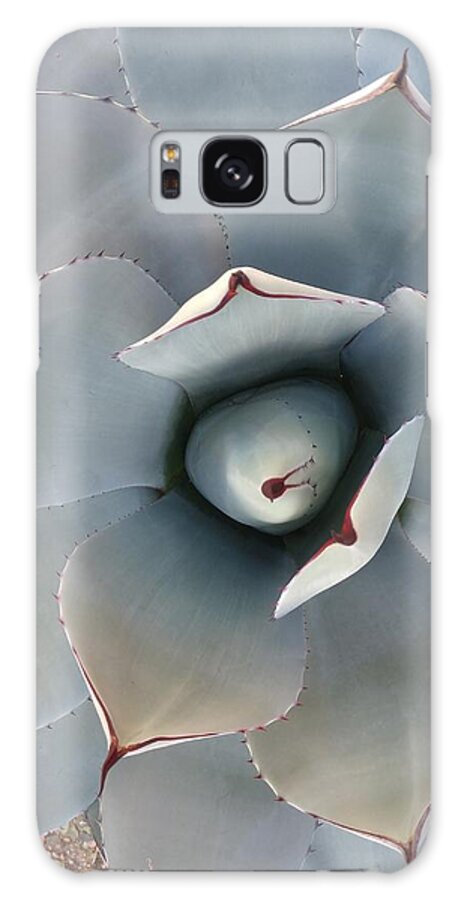 Cactus Galaxy Case featuring the photograph Cactus, if, you, can #1 by Scott S Baker