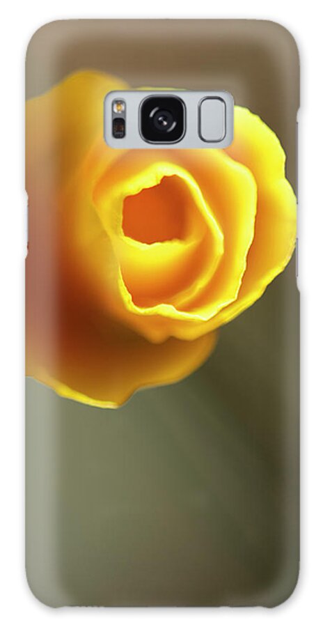 Photography Galaxy Case featuring the photograph California Poppy II #1 by Jonathan Nourock