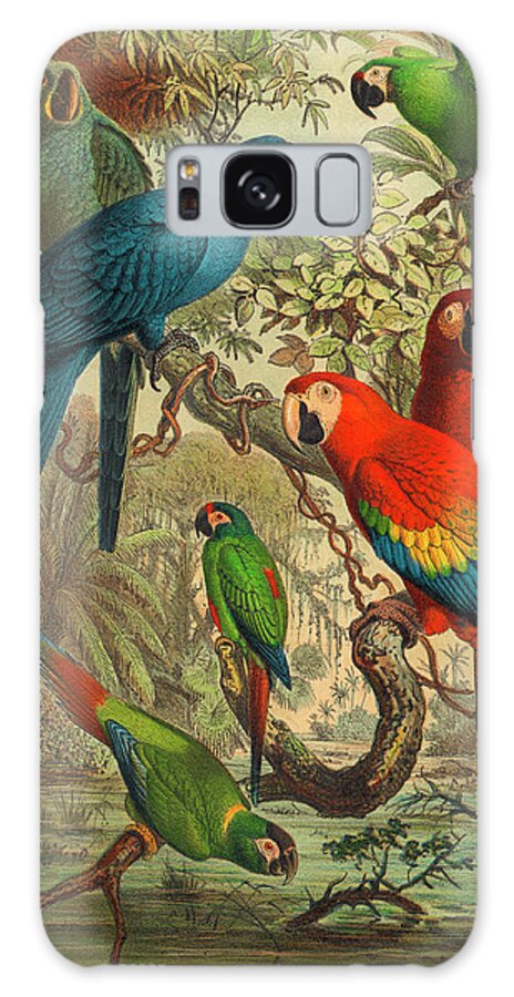 Birds Galaxy Case featuring the painting Cassel Tropical Birds IIi #1 by Cassell