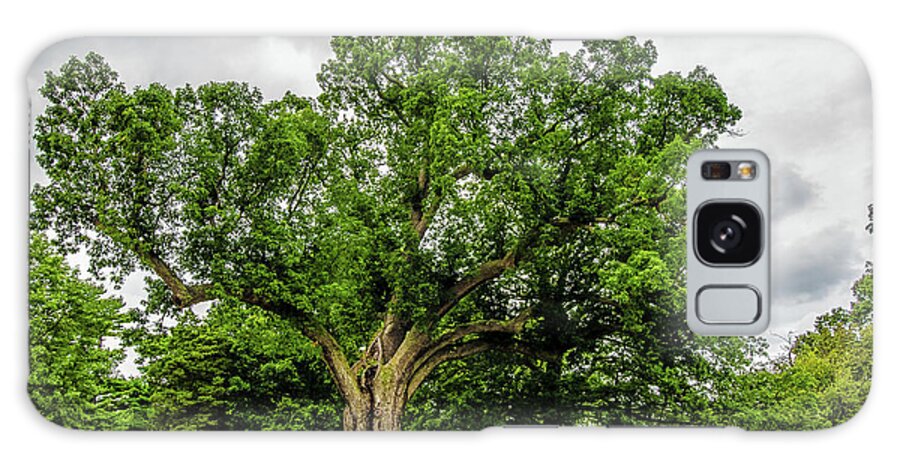 Centennial Oak Galaxy Case featuring the photograph Centennial Oak, Salem Oak Tree by Louis Dallara