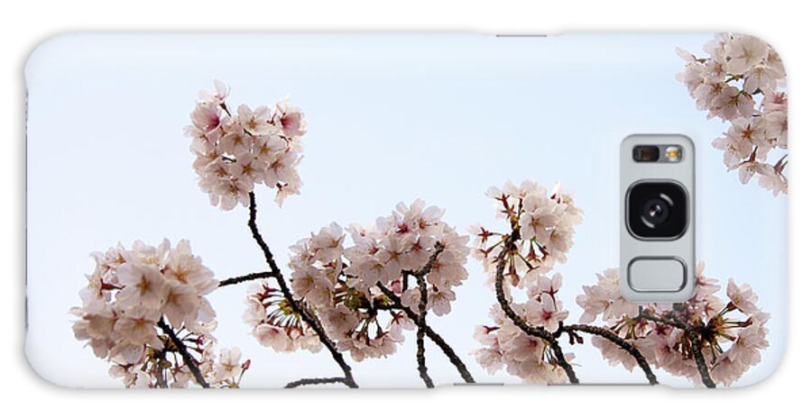 Meguro Ward Galaxy Case featuring the photograph Cherry Blossom On Branch #1 by Japan From My Eye