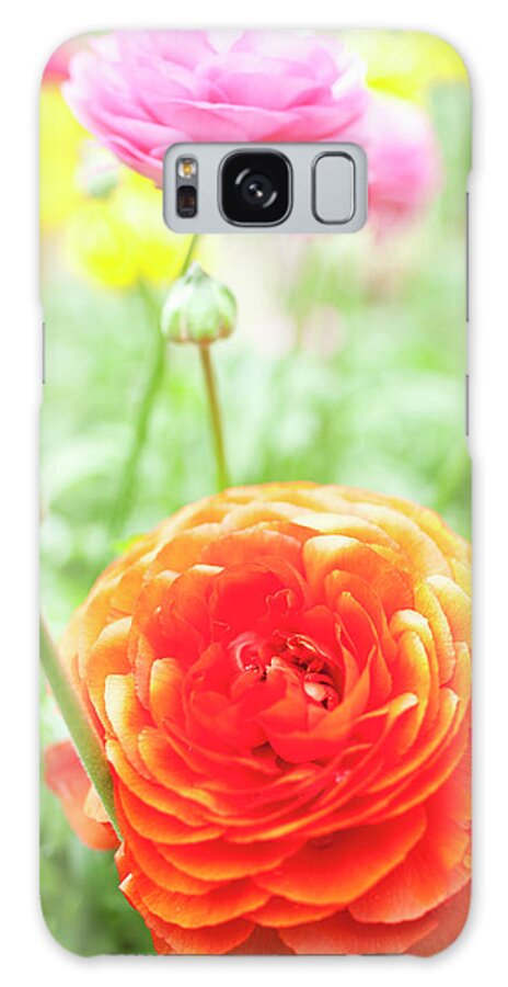 Two Objects Galaxy Case featuring the photograph Close Up Of Buttercup Flowers #1 by Luc Beziat