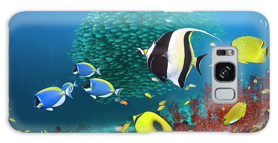 Underwater Galaxy Case featuring the photograph Coral Reef Fish #1 by Georgette Douwma