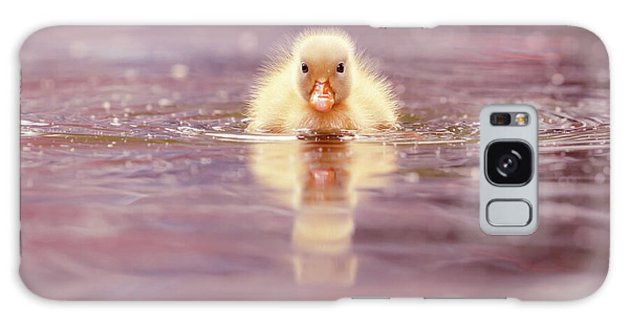 Duckling Galaxy Case featuring the photograph Cute Overload Series - Yellow Duckling II by Roeselien Raimond