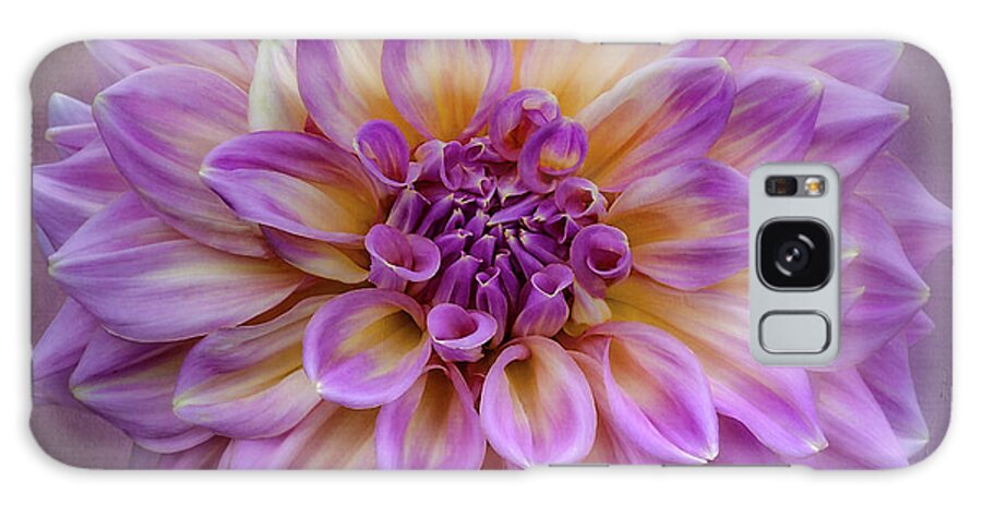 Flower Galaxy Case featuring the photograph Dahlia 'Kidd's Climax' #1 by Ann Jacobson