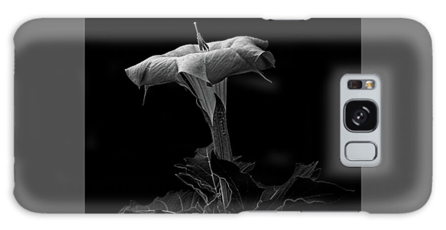Datura Galaxy Case featuring the photograph Datura in black and white #2 by Alessandra RC