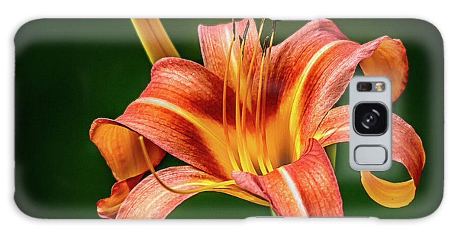 Nature Galaxy Case featuring the photograph Day Lily #1 by Robert Mitchell