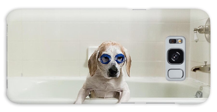 Dog Galaxy Case featuring the photograph Dog Wearing Swimming Goggles In Bathtub At Home #1 by Cavan Images