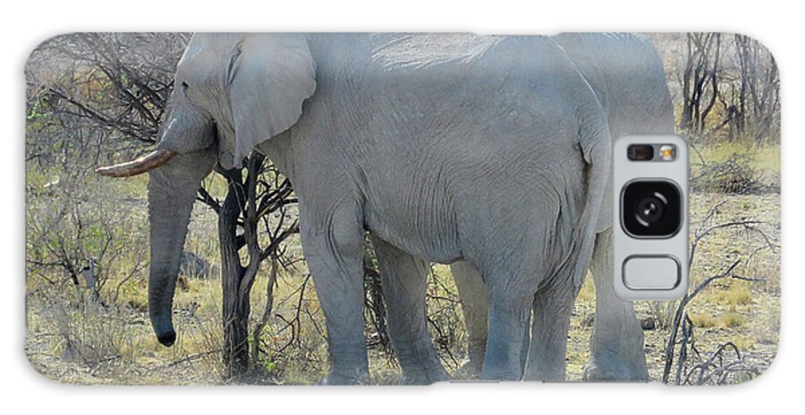 Africa Galaxy Case featuring the photograph Elephants #1 by Eric Pengelly