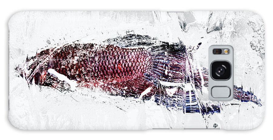 Outdoors Galaxy Case featuring the photograph Fish In Ice #1 by Yusuke Murata