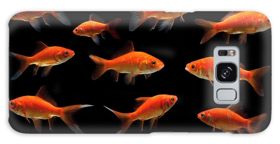 Concepts & Topics Galaxy Case featuring the photograph Goldfish #1 by Mike Kemp