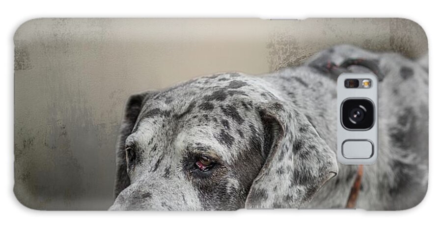 Great Dane Galaxy Case featuring the mixed media Great Dane Portrait #1 by Eva Lechner