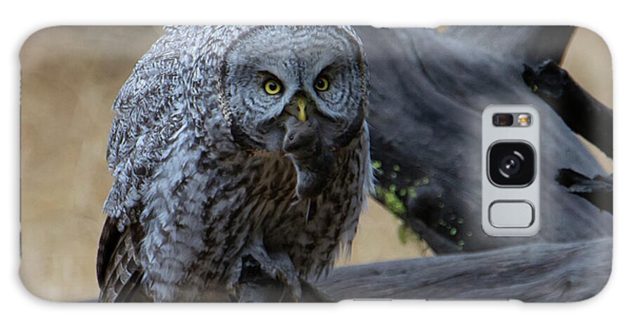 Owl Galaxy Case featuring the photograph Great Gray Owl #4 of 5 by Patrick Nowotny