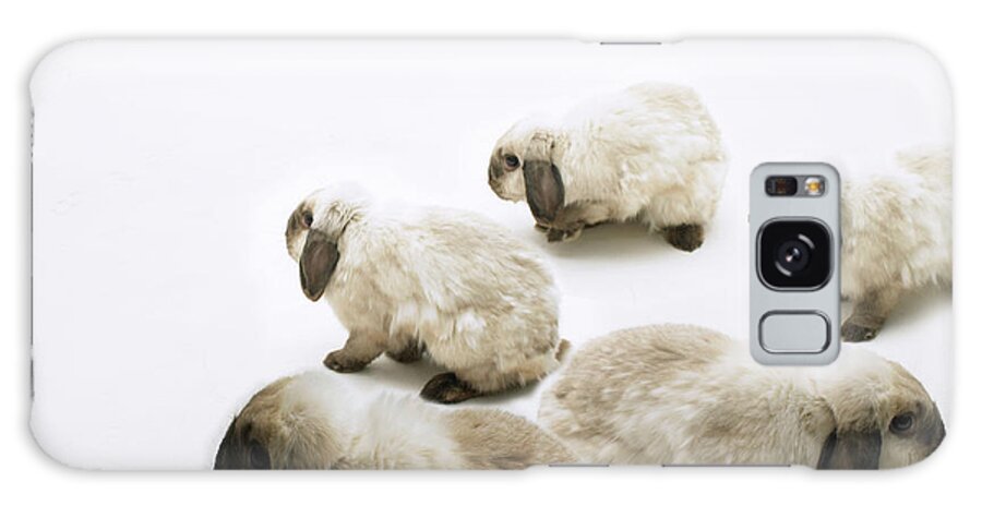 Pets Galaxy Case featuring the photograph Group Of Lop-eared Rabbits Against #1 by Michael Blann