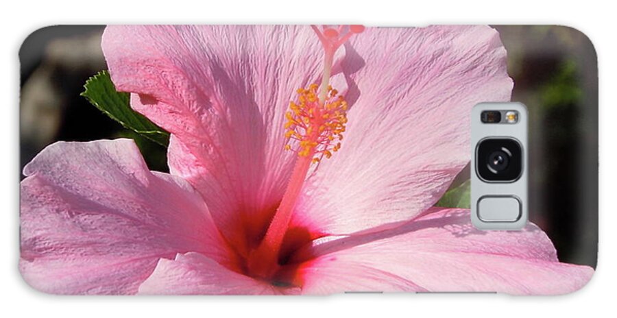 Hawaii Galaxy Case featuring the photograph Hawaiian Flower #1 by James Adger