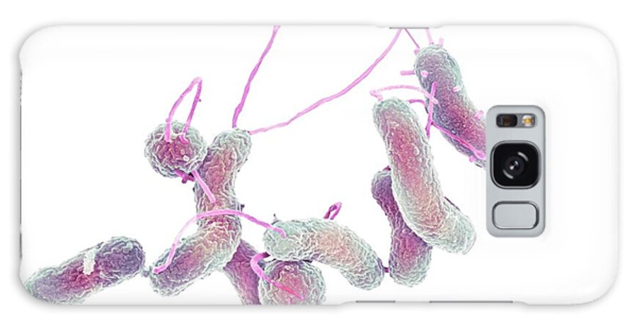 Helicobacter Pylori Galaxy Case featuring the photograph Helicobacter Pylori Bacteria #1 by Science Photo Library