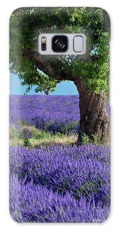Lavender Galaxy S8 Case featuring the photograph Lone Tree in Lavender by Brian Jannsen