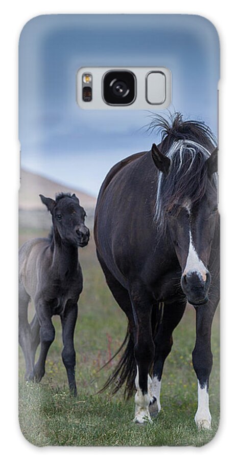 Horse Galaxy Case featuring the photograph Mare And Foal #1 by Arctic-images